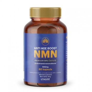 NMN ANTI AGE BOOST 500 MG KAPSULE A 60