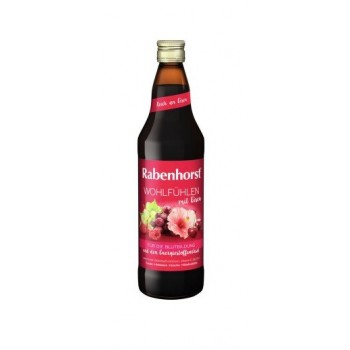 RABENHORST SOK BLAGOSTANJA SA GVOŽĐEM 750ML