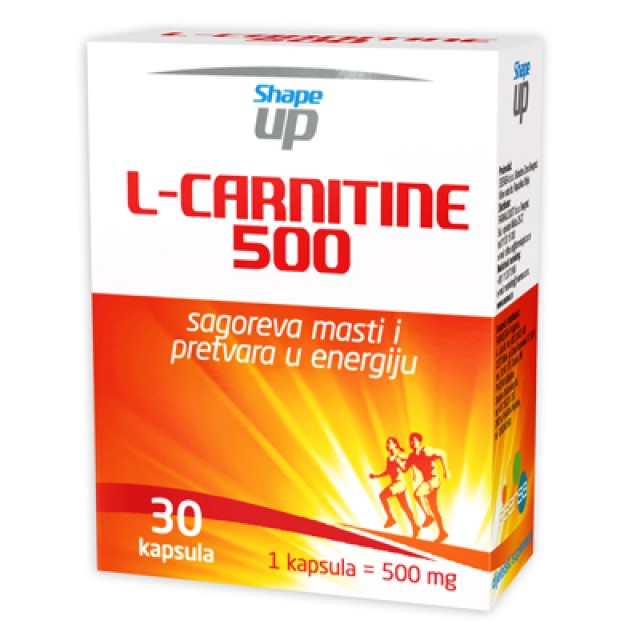 L-CARNITINE 500 KAPSULE