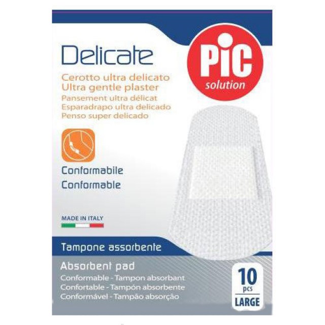 PIC SOLUTION DELICATE LARGE FLASTERI A10