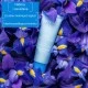 APIVITA AQUA BEELICIOUS OIL FREE HIDRATANTNA GEL KREMA 40ML