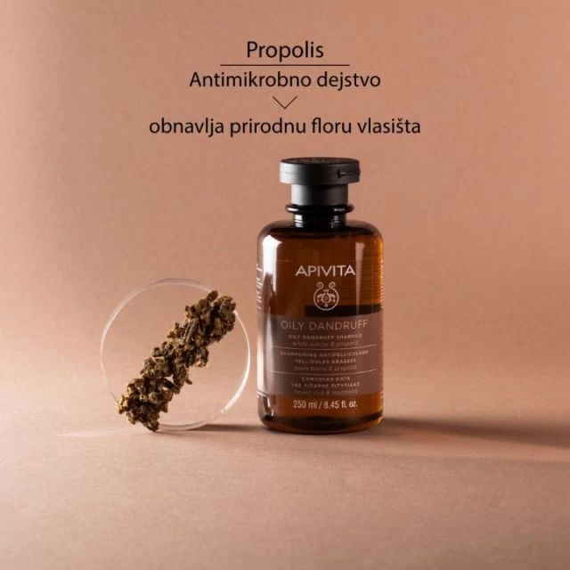 APIVITA ŠAMPON PROTIV MASNE PERUTI 250ML