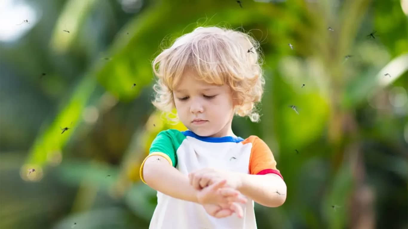 Zaštita od komaraca na prirodan način - najbolji zdravi repelenti