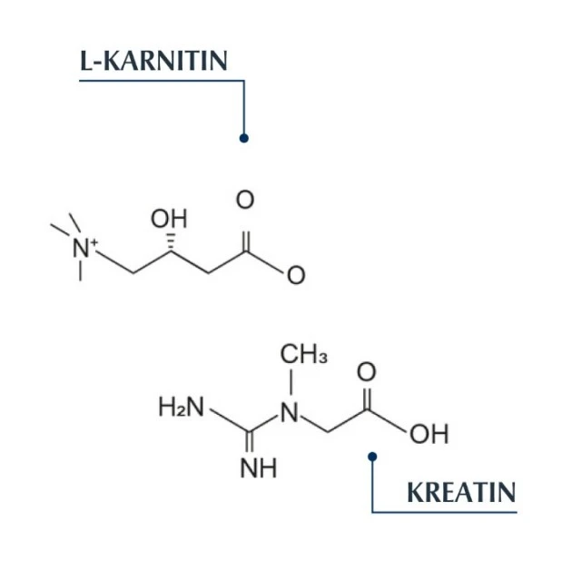 EUCERIN DERMOCAPILARE REVITALIZIRAJUĆI ŠAMPON 250ML
