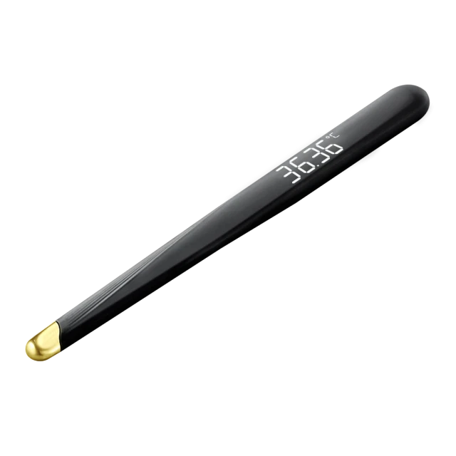 DIGITALNI TOPLOMER PROLIFE PDT 500 INTELLIGENT BLACK